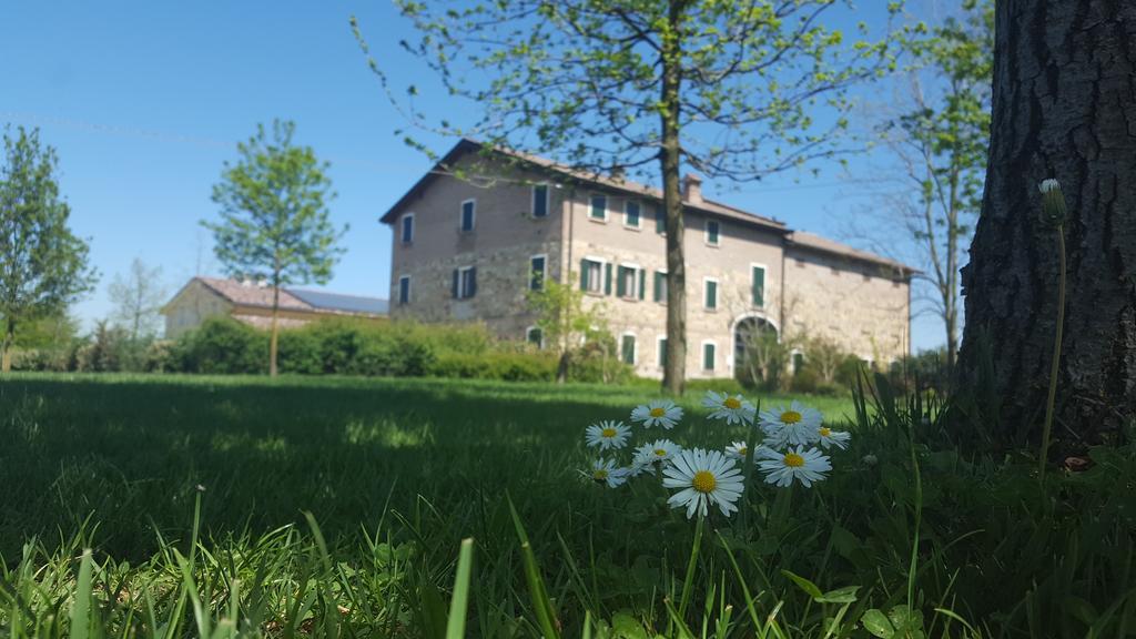 Agriturismo Il Brugnolo Scandiano Bagian luar foto