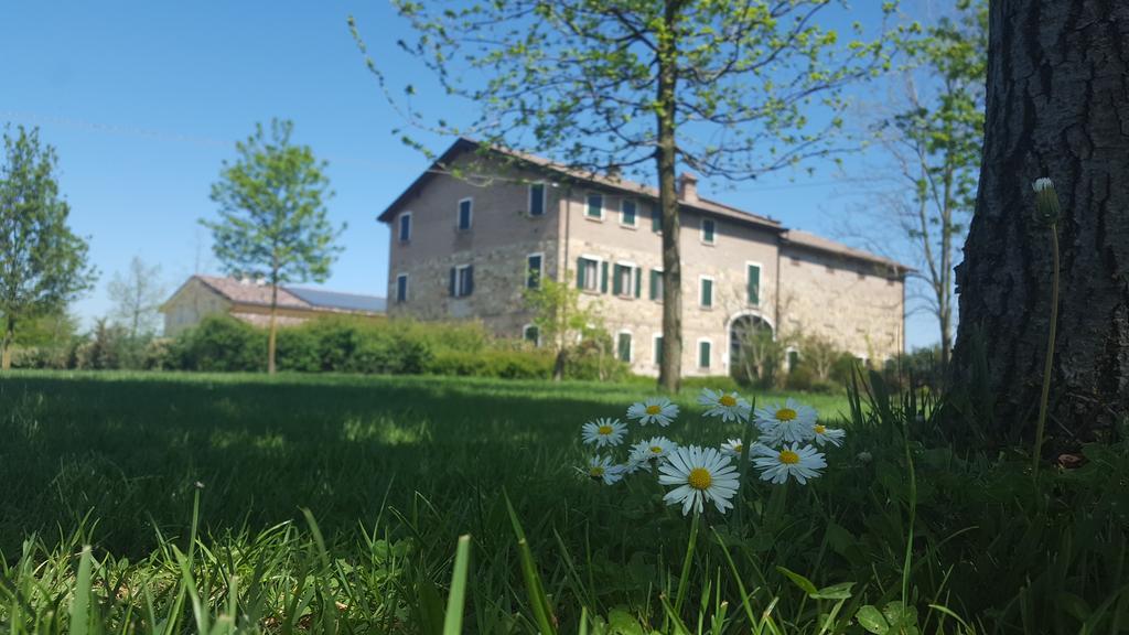 Agriturismo Il Brugnolo Villa Scandiano Bagian luar foto