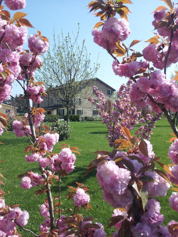 Agriturismo Il Brugnolo Scandiano Bagian luar foto
