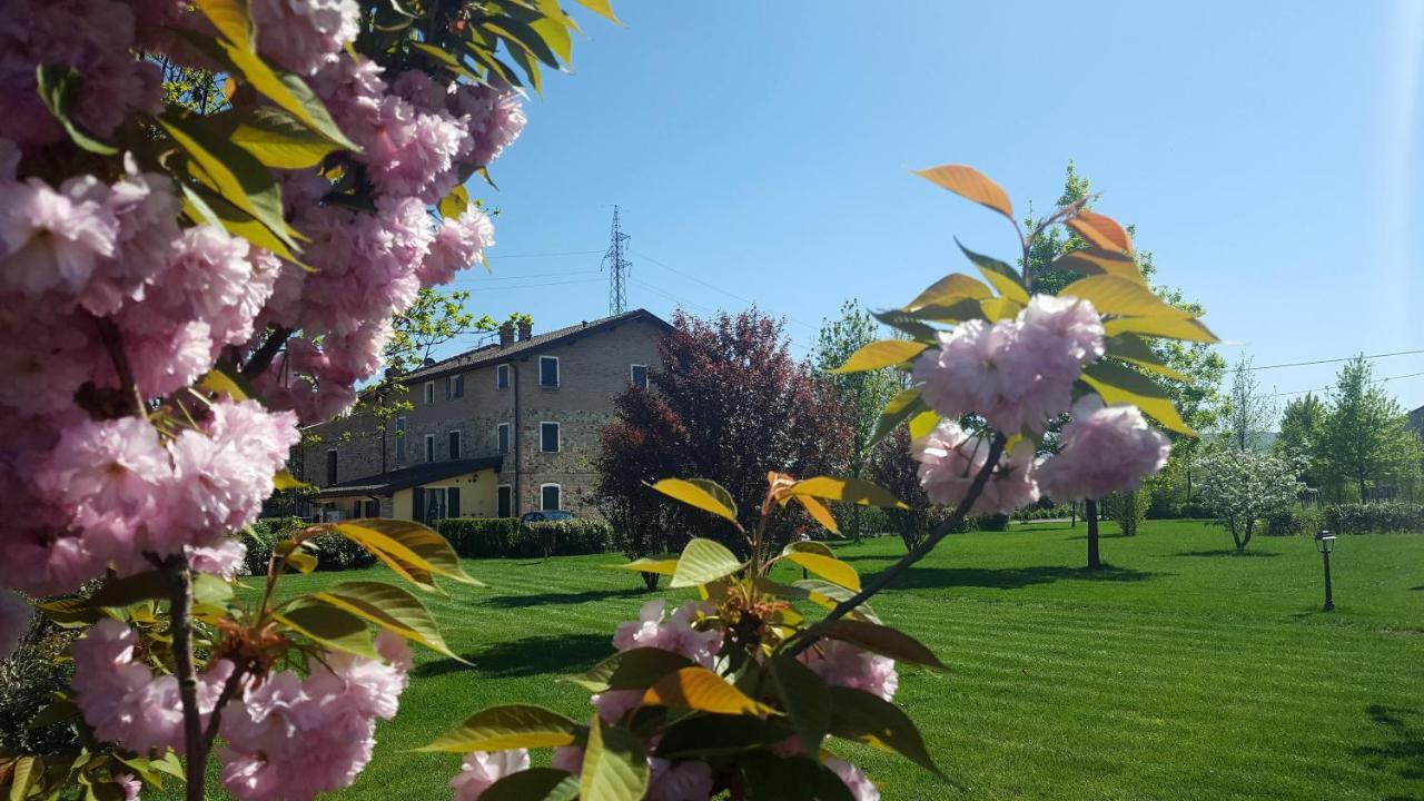 Agriturismo Il Brugnolo Scandiano Bagian luar foto